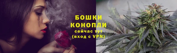 сатива Наволоки